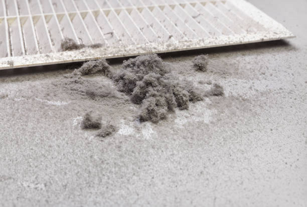 Best Affordable Duct Cleaning Services  in Brockton, MA