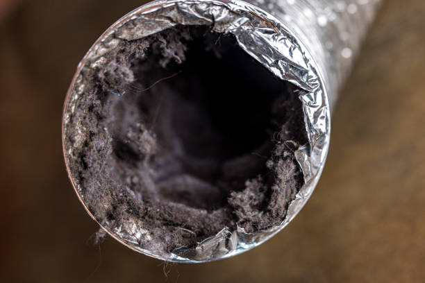 Best Air Duct Inspection  in Brockton, MA